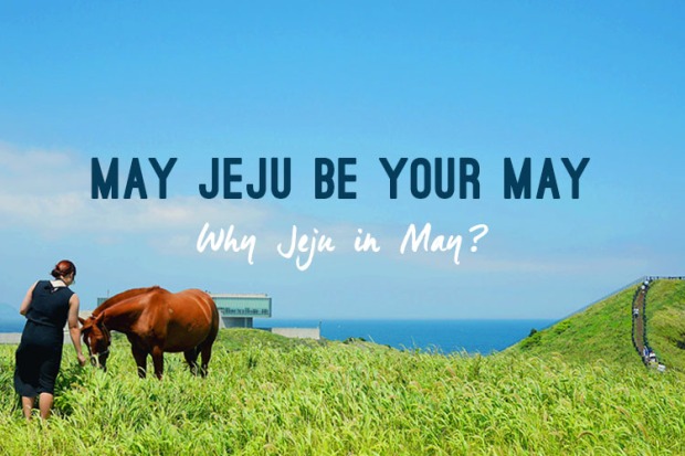 Jeju May Campaign (1)